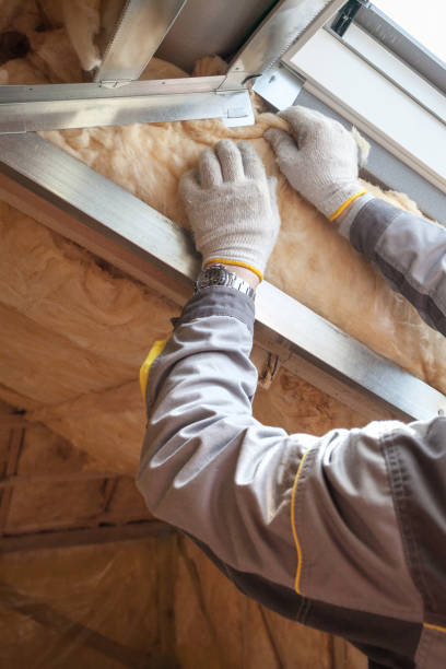Trusted Yanceyville, NC Insulation Contractor Experts