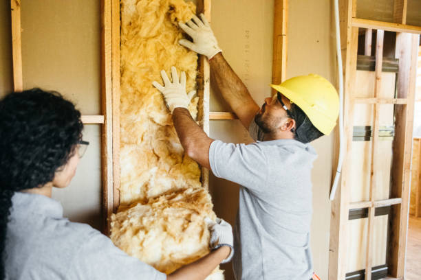 Best Professional Insulation Contractor  in Yaeyville, NC