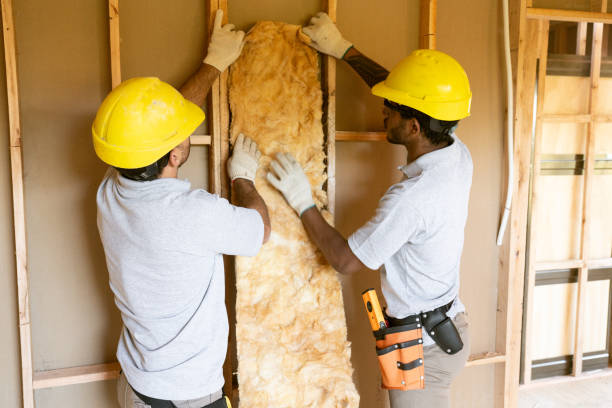 Best Insulation for New Construction  in Yaeyville, NC