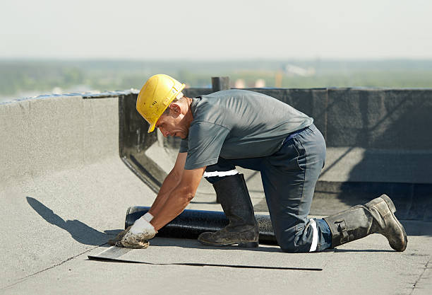 Best Insulation Replacement Services  in Yaeyville, NC