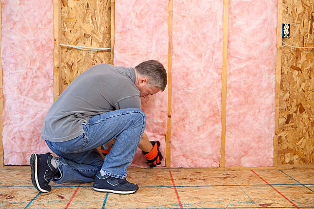 Best Crawl Space Insulation  in Yaeyville, NC