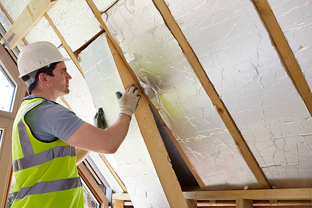 Best Cellulose Insulation  in Yaeyville, NC