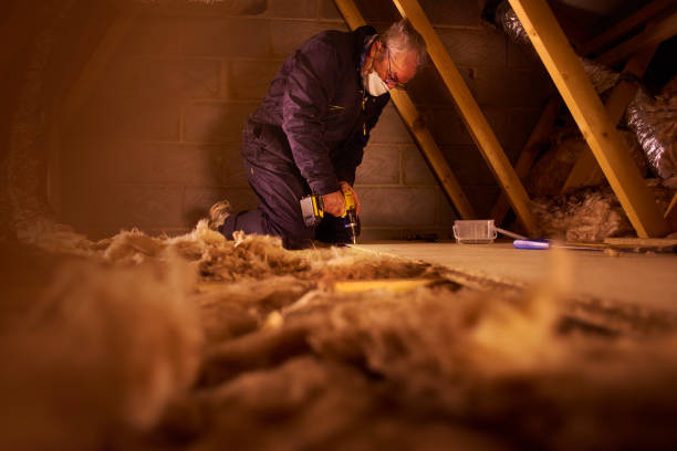 Best Wall Insulation Contractor  in Yaeyville, NC
